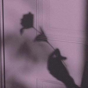 27报千乐网276期电影
