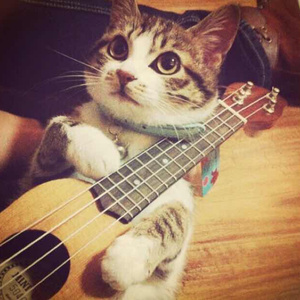 27报千乐网276期电影
